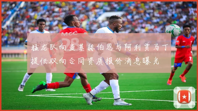 猛龙队向查基赫伯恩与阿利贾马丁提供双向合同资质报价消息曝光