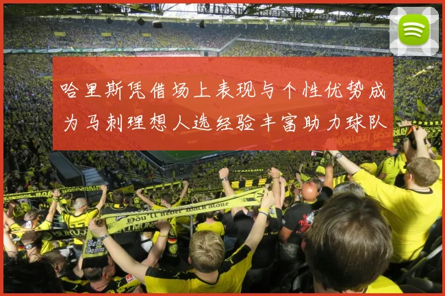 哈里斯凭借场上表现与个性优势成为马刺理想人选经验丰富助力球队发展